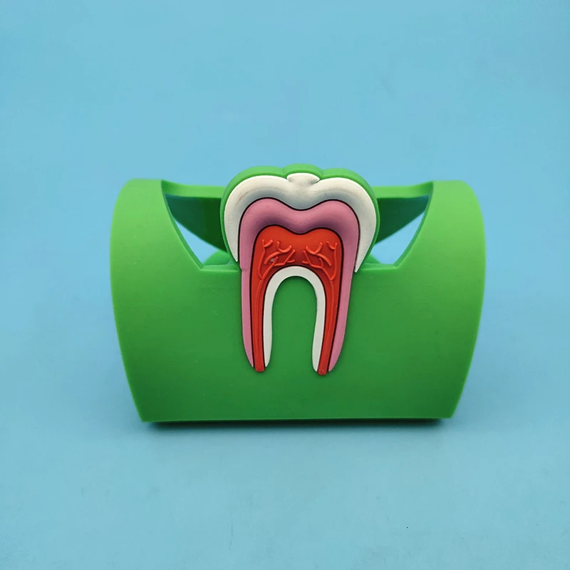 5 шт. Подставка для хранения стоматологических клиник милые именные держатели