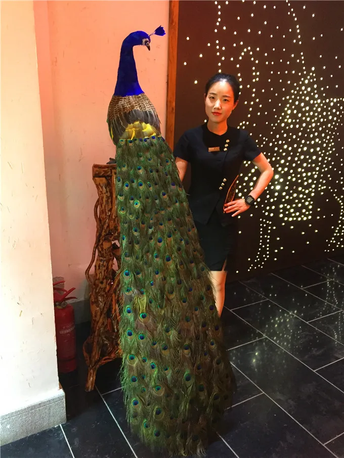 Реалистичный Павлин птица огромный 180 см пенопласт и перышки модель павлина
