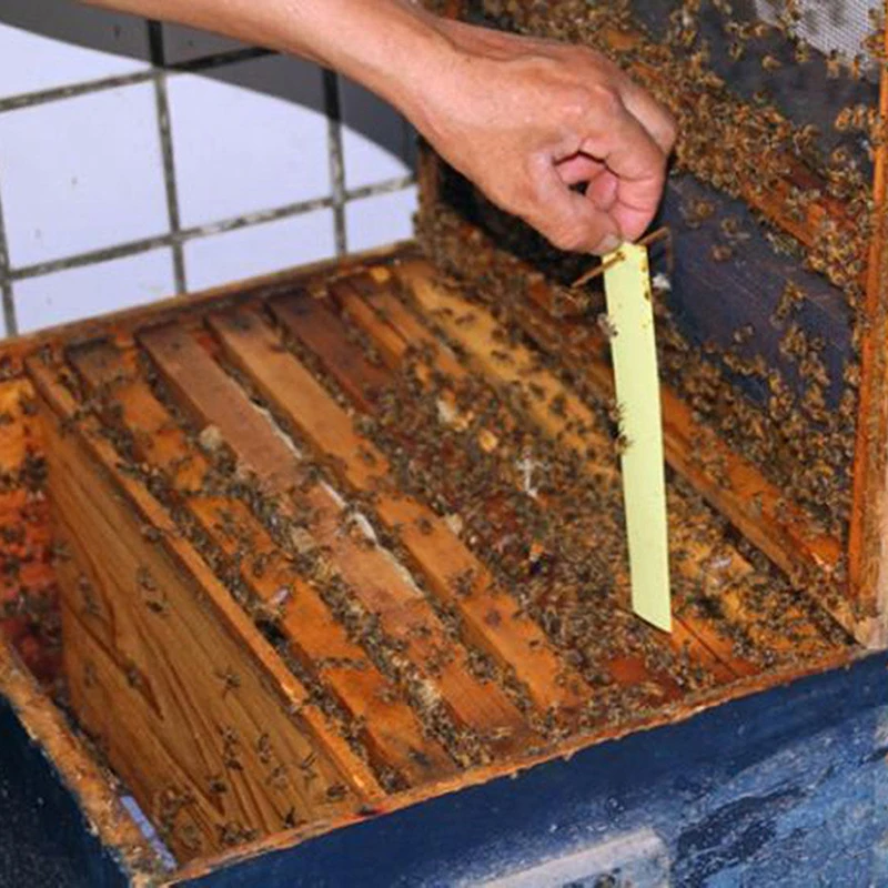 20 шт./пакет Varroa strip Fluvalinate средство для лечения пчелиных клещей пчеловодство