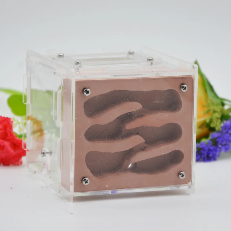 Plaster Ant Nest Acrylic Farm Ants Queen House Insect Cage Anthills Pet Granja De Hormiga Hormiguero Antfarm | Игрушки и хобби