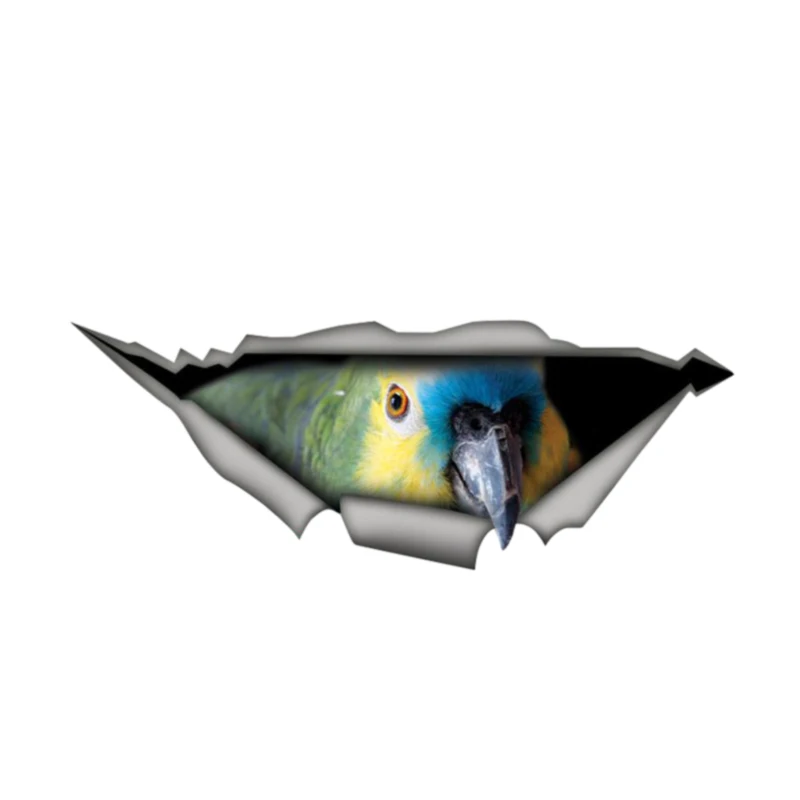 

Dawasaru Creative Car Sticke 3D Amazon Parrot Car Window Decal Waterproof High Quality Vinyl Cover Scratches PVC 13cm*5cm