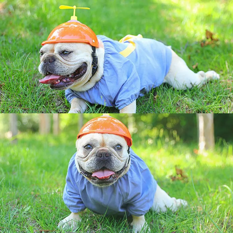 Шапка для щенка кошки шлемы стрекоза плот пластиковый шлем уличная