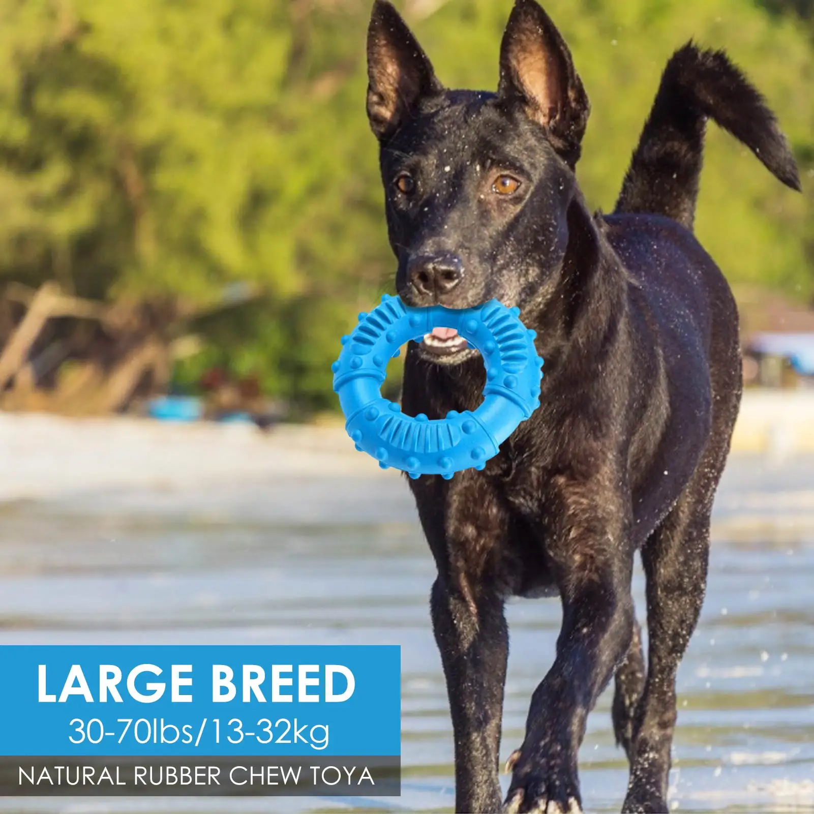 

Explosive Pet Toy Dog Toy Ring Dog Chewing Toy Dog Chewing Gum Teeth Cleaning Rubber Toy