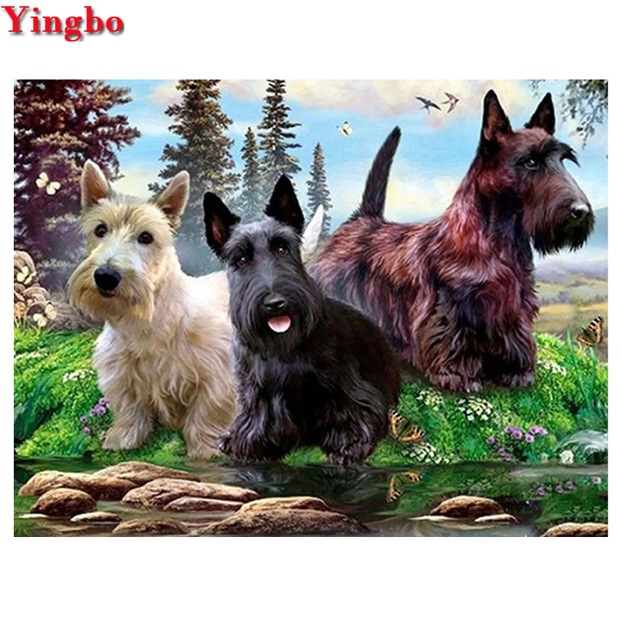 Алмазная 5d картина сделай сам шотландский терьер полная выкладка алмазная