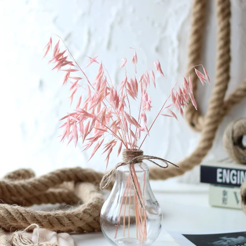 

Real Dried Natural Flower Oats Ear Branch Bouquet Plant Droogbloemen Artificial Decoration