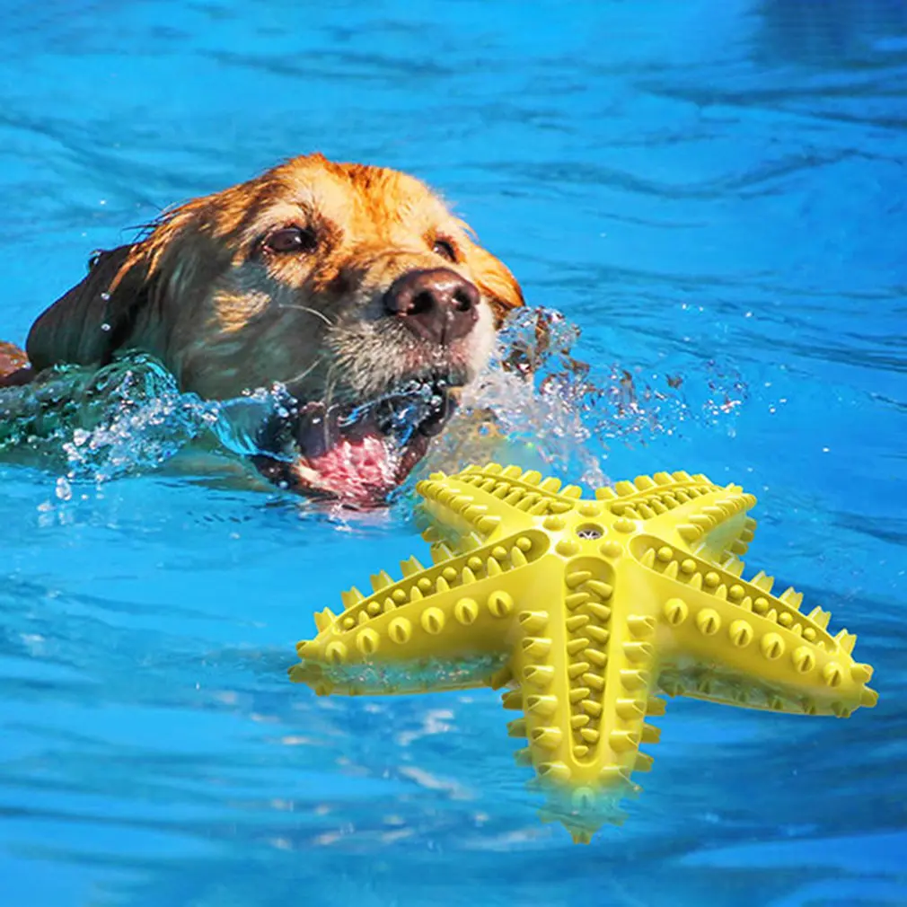 

Dog Chew Toy Squeaky Chew Toy Pet Toys Molar Puppies Toys IQ Training Toy Protective Furniture Toy Starfish Shape