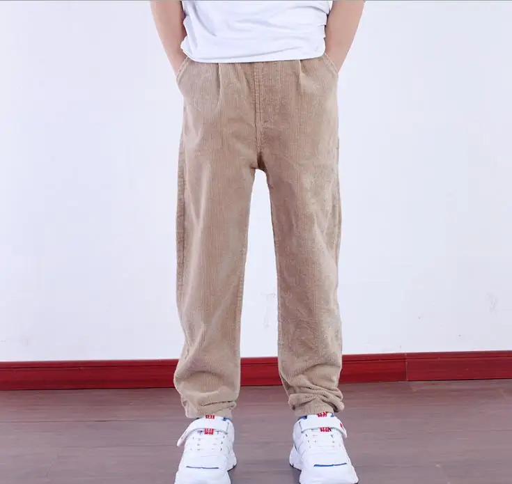 

New Winter Boys Casual Pants Kids Brand Corduroy Harem Pants Soild All-match British Style Fashion Warm Trousers For Children