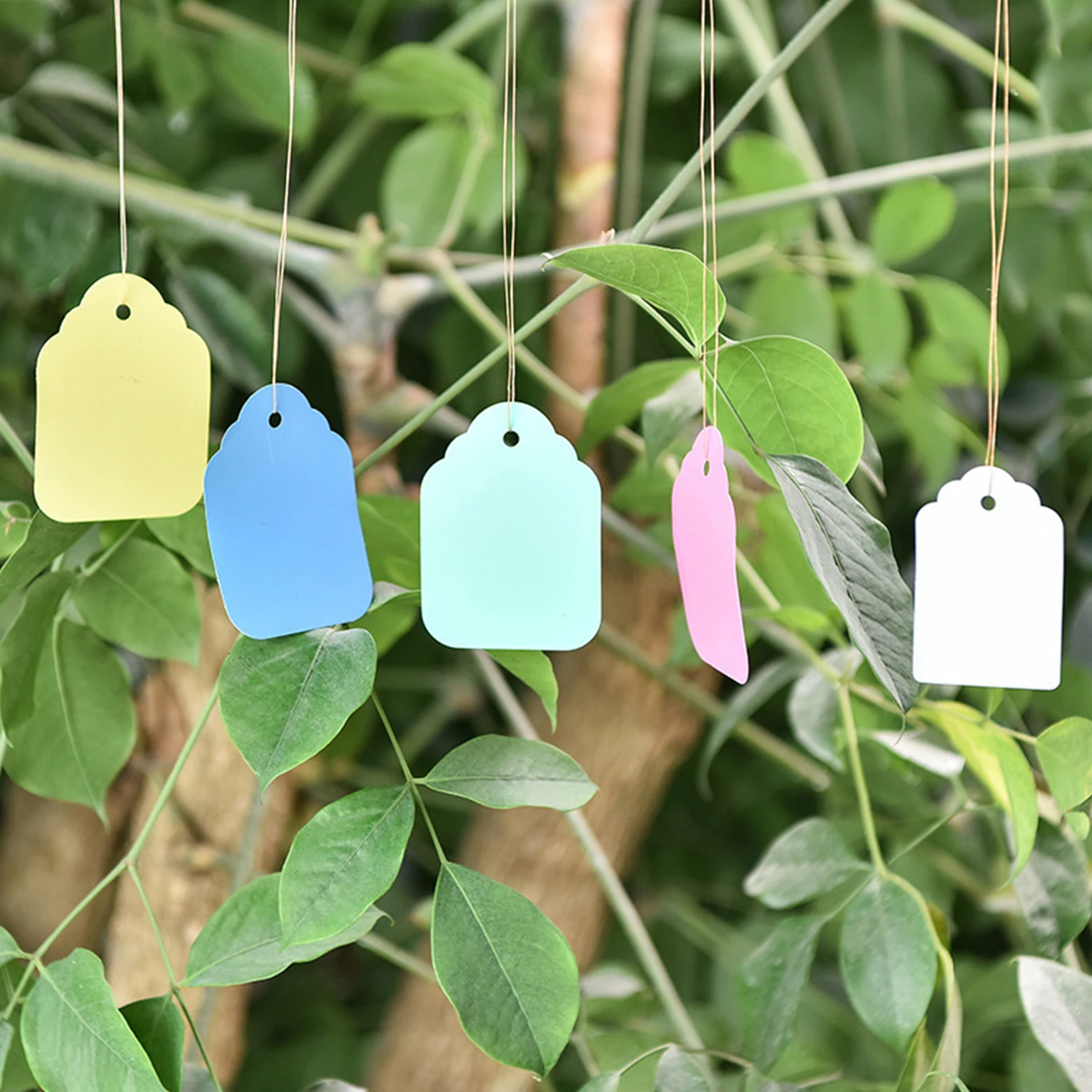 

16PCS Garden Planting Tool Set Bonsai Succulent Transplanting Miniature Fairy Mini Garden Planting Gardening Hand Tools