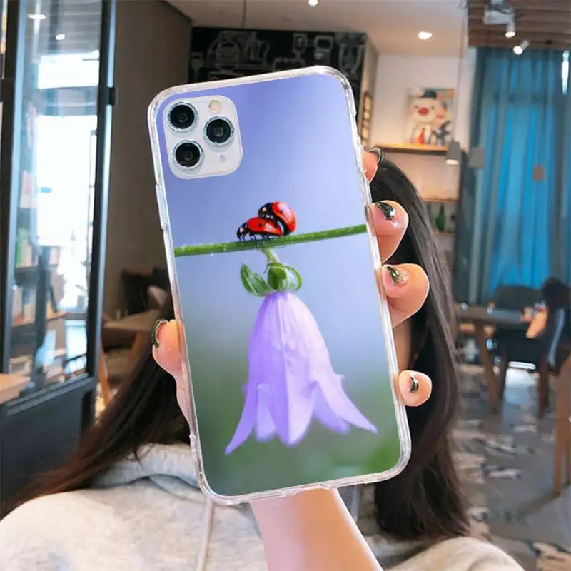 

four leaf ladybug daisy Phone Cases Transparent for iPhone 6 7 8 11 12 s mini pro X XS XR MAX Plus