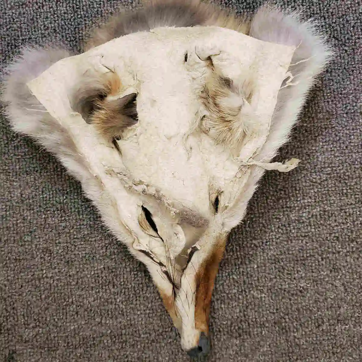 Украшение сделай сам из меха Койот | Дом и сад