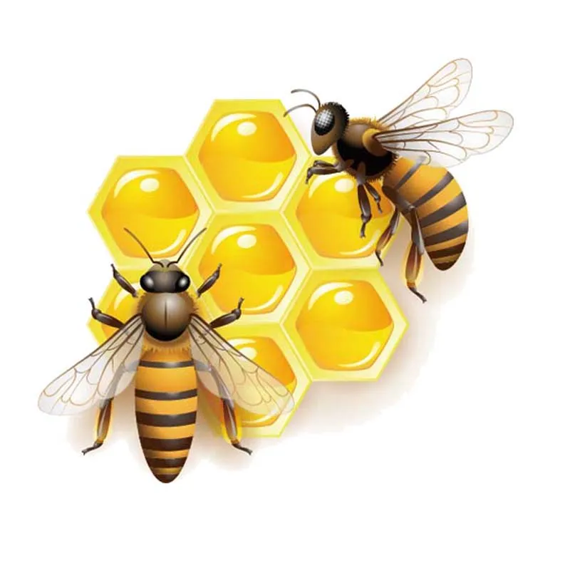 

Cartoon Bee Car Sticker, Eat Honey PVC Waterproof Sunscreen Decal Truck Notebook Motorcycle Sticker,15CM*14CM