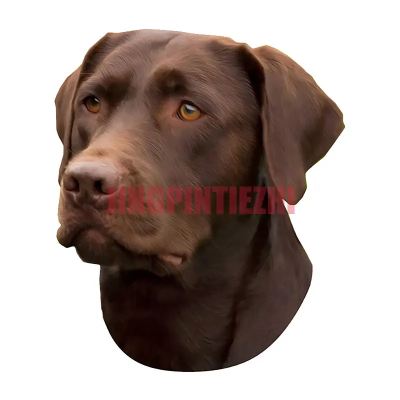 Наклейка для мотоцикла декоративная наклейка окна автомобиля различные размеры