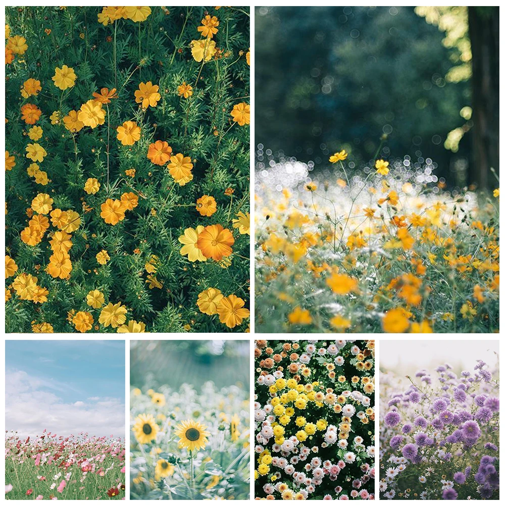 

Алмазная живопись 5D «сделай сам», пейзаж, цветок, стразы, ремесло, изысканное украшение для дома, живопись, искусство, картина на заказ