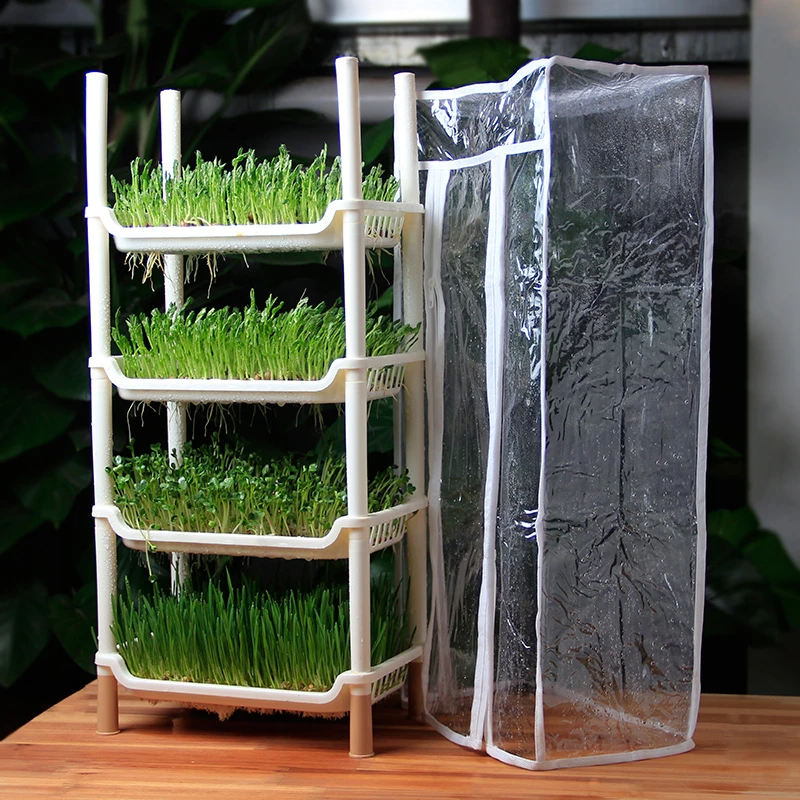 

Vegetables Sprouts Grow Seedlings Disk Species Bean Sprouts Pot Bud Vegetable Seed Implant Tray Grow Seedlings Box Flower Airs