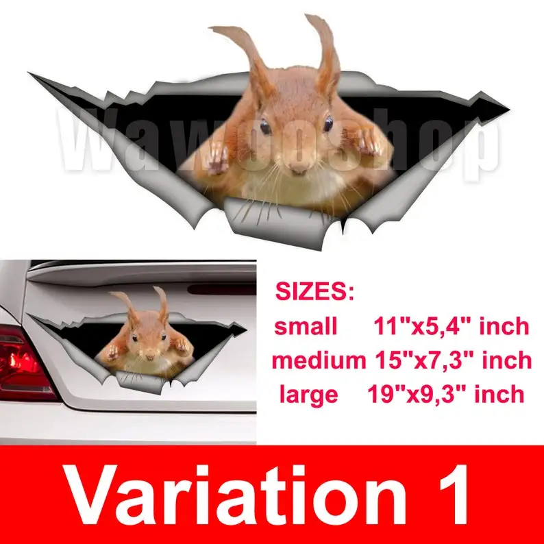 

Squirrel car decal, funny car decal, Vinyl decal, car decoration, squirrel sticker, animal decal