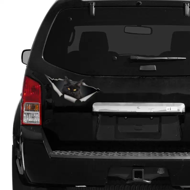 

2021 Black Maine Coon car decal, funny sticker, Black Maine Coon car sticker
