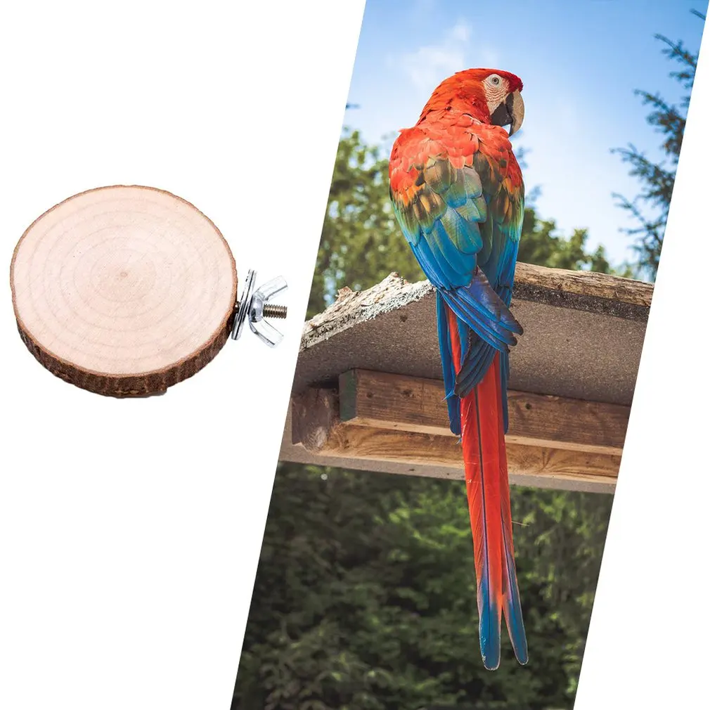 

Oblique Cut Wooden Pier Slab Parrot Station Board Suitable For Parakeet Parrot Canary Finches Dove Hamster Food Supply Toys