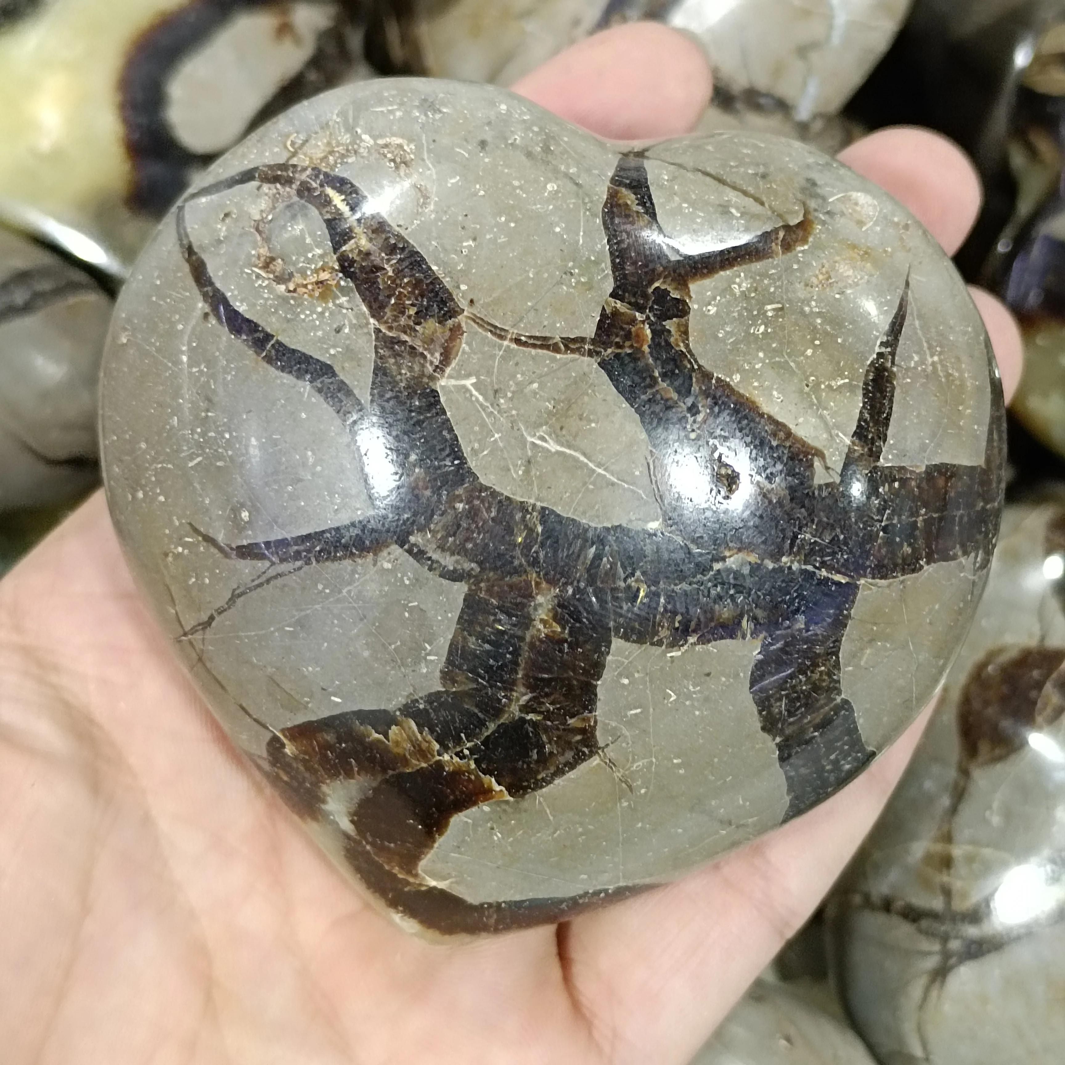 

1pc Nature Dragon Septarian heart Quartz Crystal heart Mineral Chakra Healing Reiki