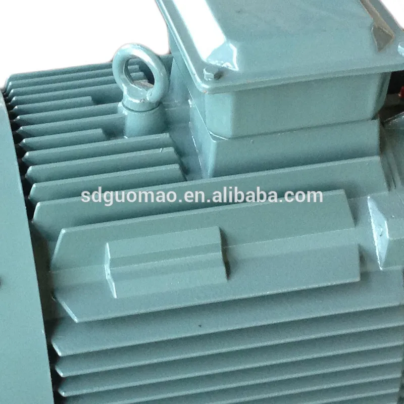

220V 2.2KW High Torque Low RPM Three phase Electric Motor