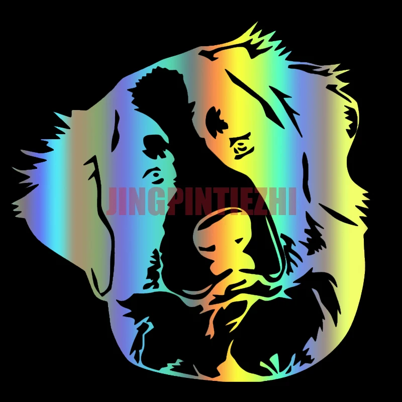 

Creative Various Creative Car Stickers Vinyl Decal Bernese Mountain Dog Motorcycle Decorative Accessories Creative Waterproof