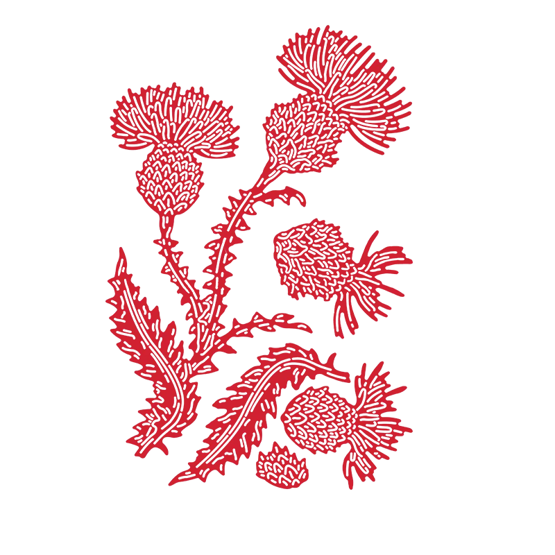 Металлические Вырубные штампы цветы расторопши и спрей вырубки для изготовления