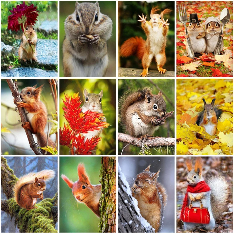 

DIY 5D Diamond Painting Squirrel Animal Diamond Embroidery Cross Stitch Full Square Round Drill New Arrival Mosaic New Year Gift