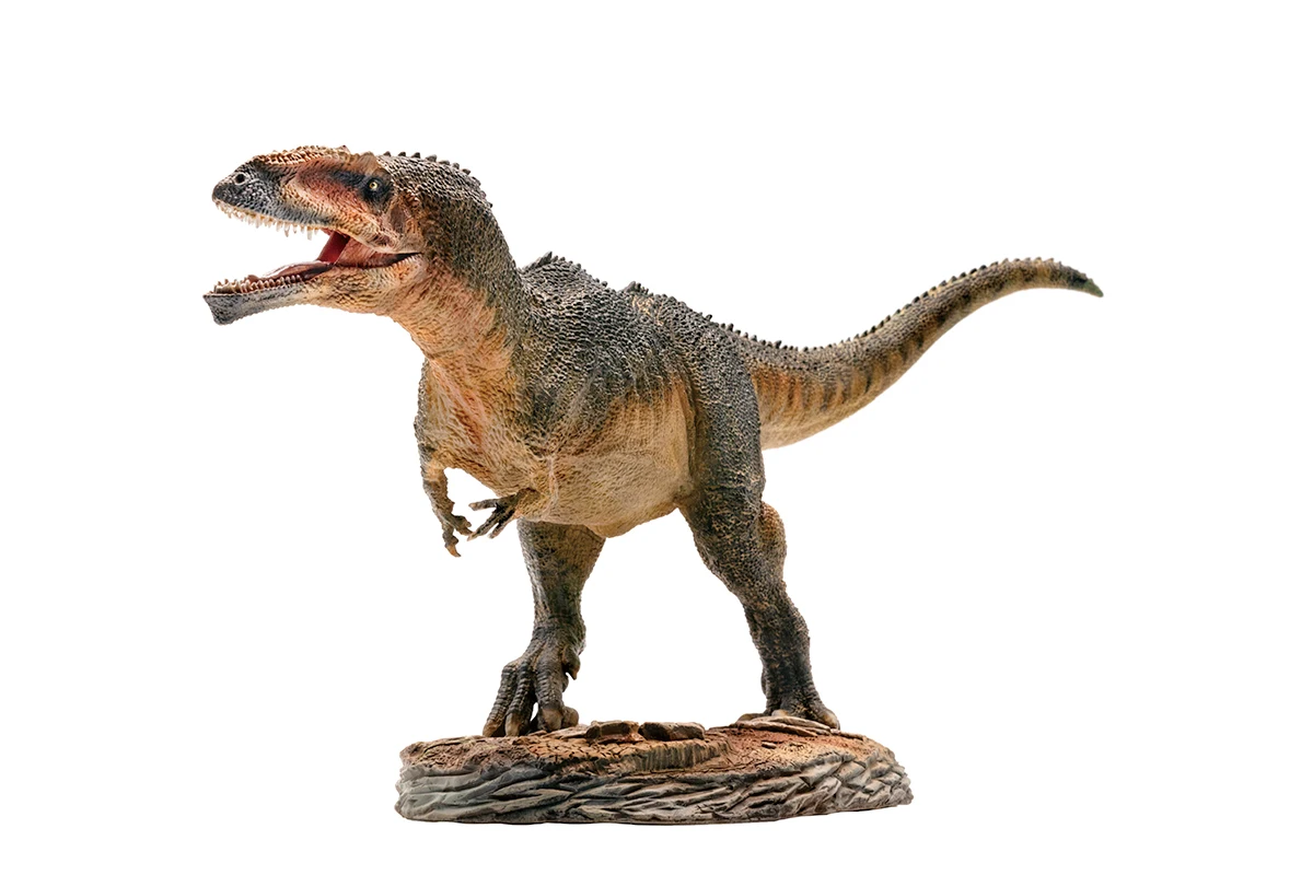 PNSO-Serie de museo de dinosaurios: Lucas el giganosaurus 1:35, modelos de arte cient&iacute;fico-1