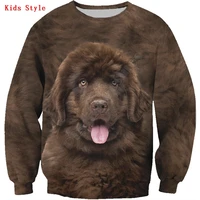 newfoundland kids sweatshirt 3d printed hoodies pullover boy for girl long sleeve shirts kids funny animal sweatshirt