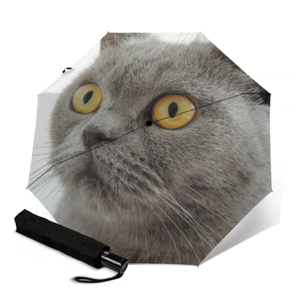 Автоматический зонт компактный складной зонтик от солнца с принтом котят для