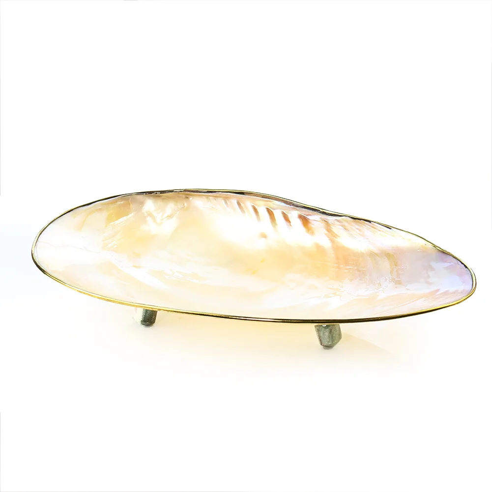 Natural Seashell Caviar Tray Fruit Dinner Plates Mother of Pearl Meditation Bowl Ornaments Jewelry Storage Dish Craft Decoration