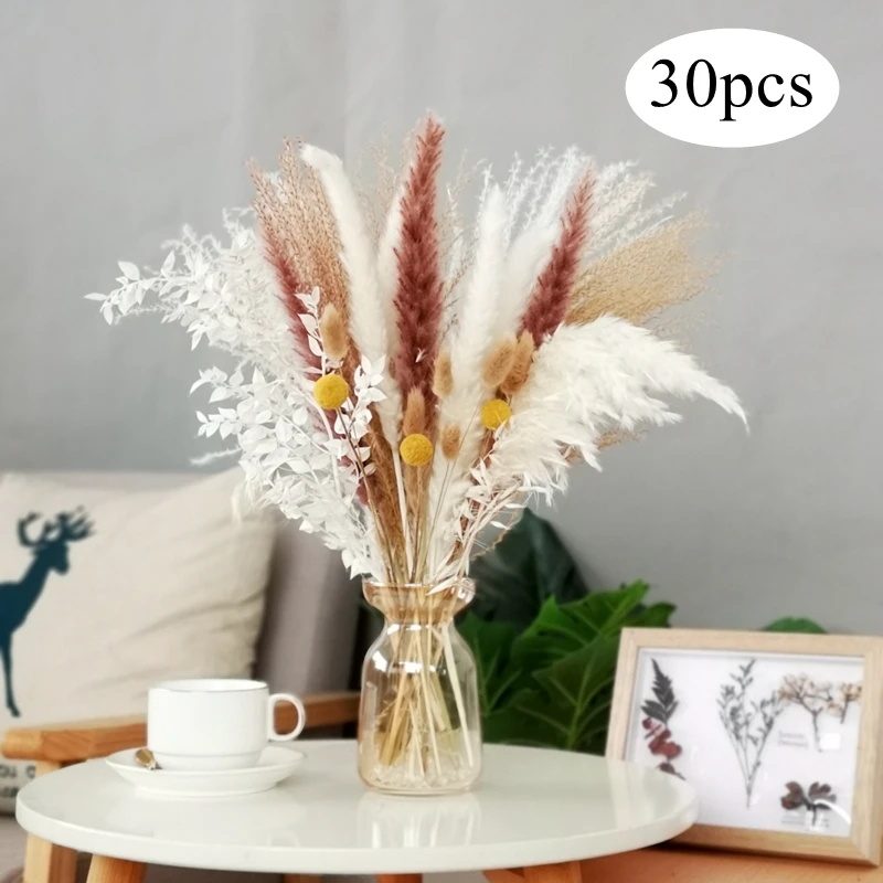 

Bulrush Natural Dried Flowers Artificial Plants Branch INS Pampas Grass Phragmites Fake Flower Wedding Home Decoration christmas