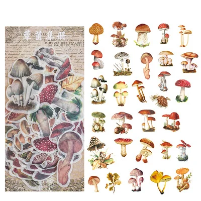 

Винтажные наклейки Yoofun 60 шт.