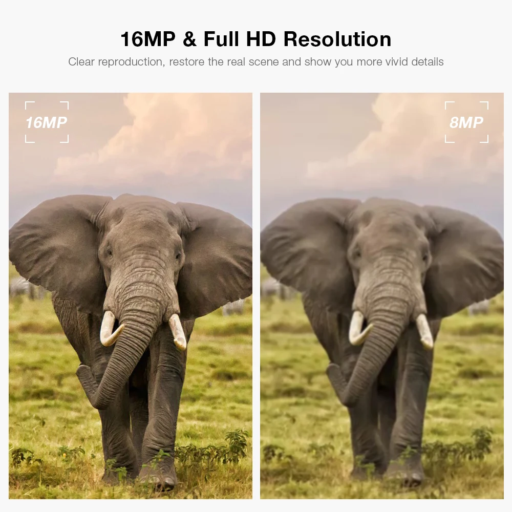 Suntekcam охотничья камера 20 МП 1080P IP65 ночное видение тропа s Водонепроницаемая для