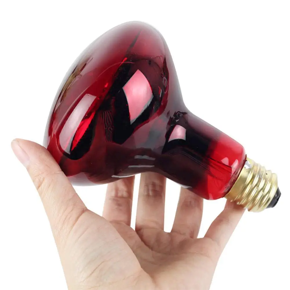

150W R95 Infrared Bulb for Lizard Tortoise Snake Heat Lamp