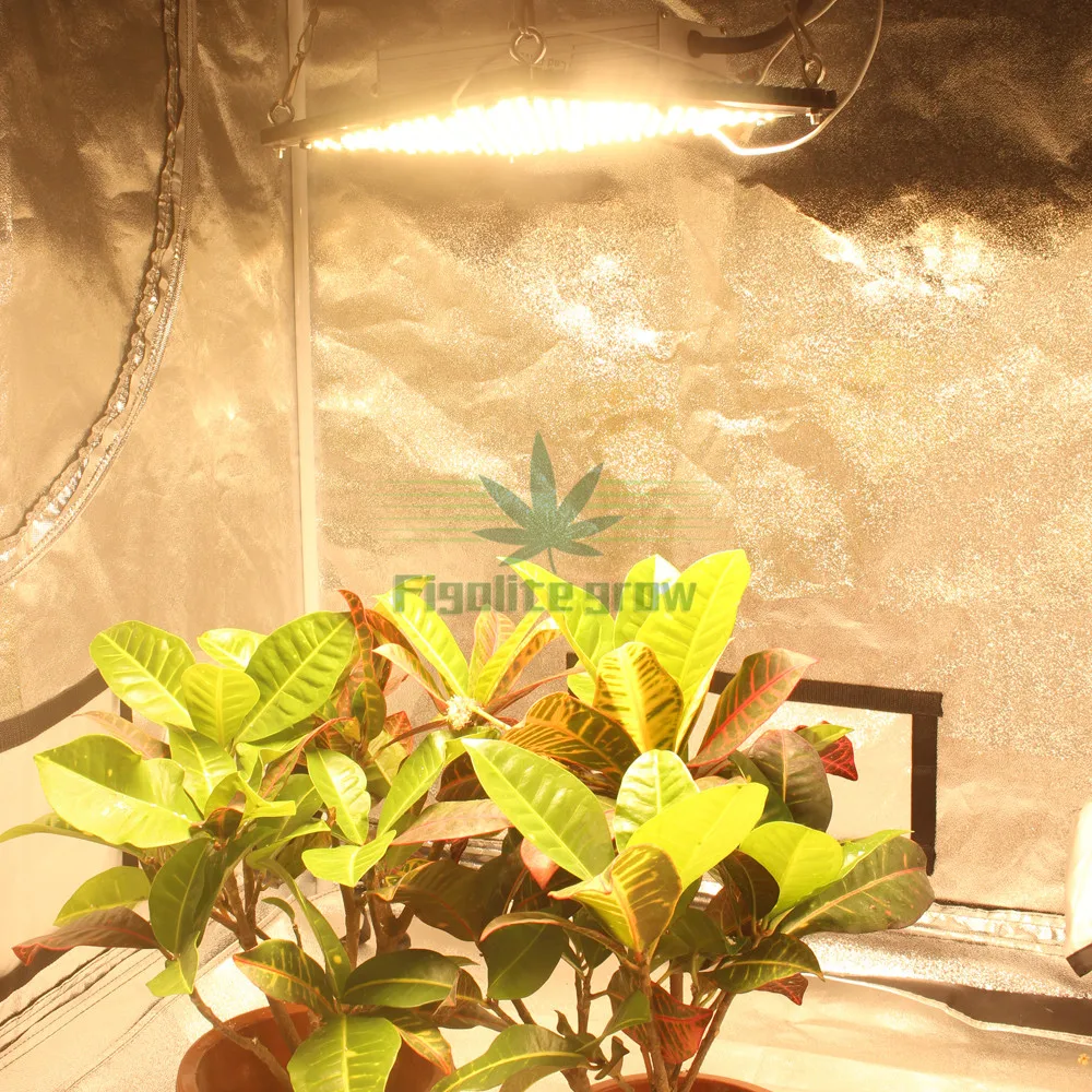 Гидропонная 80*80*160 см квантовая технологисветодиодный Светодиодная панель