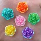 10 шт AB 20 мм полимерный цветок камень Flatback Свадебные Diy кнопки для скрапбукинга ремесла R27