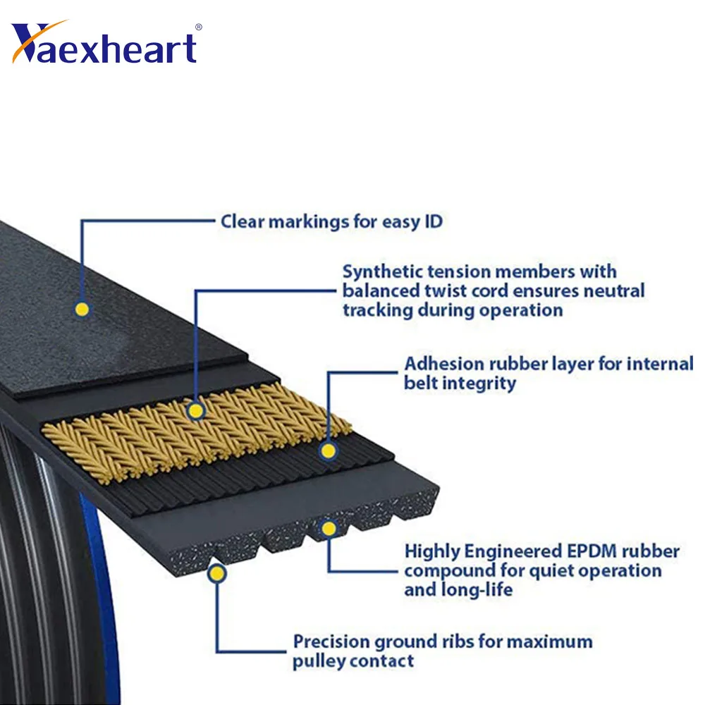 

7PK2120 Serpentine Belt Fit For TOYOTA 4RUNNER 03-09 TACOMA 05-17 TUNDRA 05-12