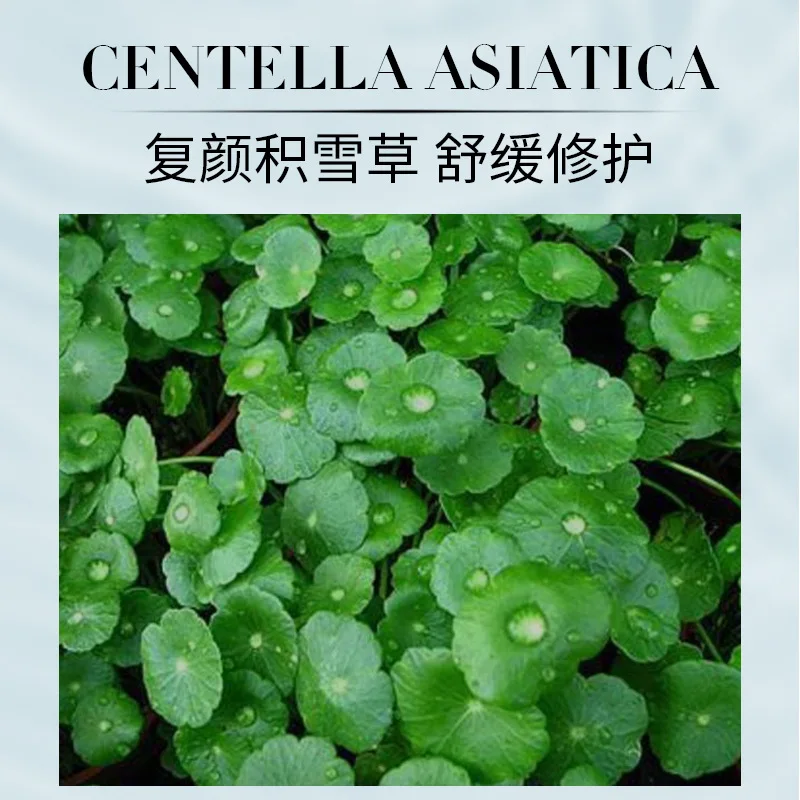 Маска для лица Centella азиатская питающая кожу увлажняющая поверхность| |