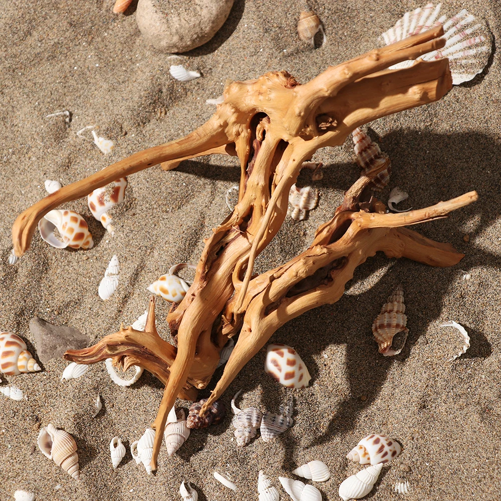 Natural Driftwood Cuckoo Roots Dead-wood Fish Tank Ornament Aquarium Decoration Creative Tree Trunk Micro Landscape Pet Supply | Дом и сад