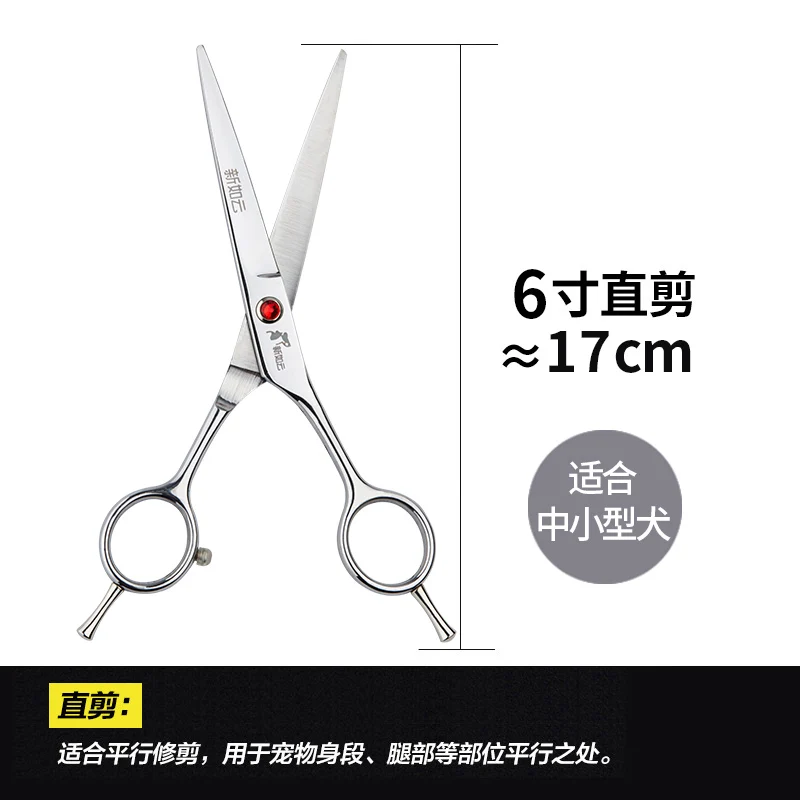 

Stainless Steel Pet Cat Scissors Scissor Cat Grooming Curved Scissors Pet Grooming Professional Scissors Pet Scissors JJ60GJZ