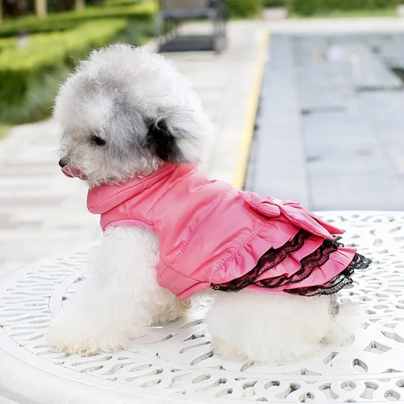 Зимняя одежда для собак маленьких свадебная щенков Весенняя Одежда питомцев