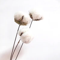 10pcs dried artificial flower bouquets dried cotton branch flower bouquets for home decoration