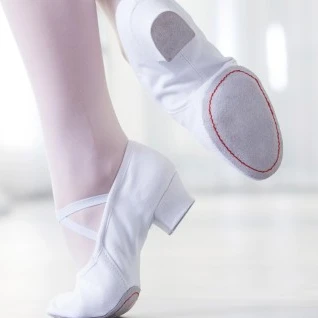 5 цветов балет джаз танец живота Йога Латинская танцевальная обувь для учителя