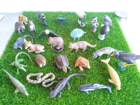 Модель игрушки из ПВХ в сборе модель 24 шт./компл. редкая | Игрушки и хобби