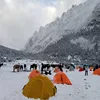 Изображение товара 2