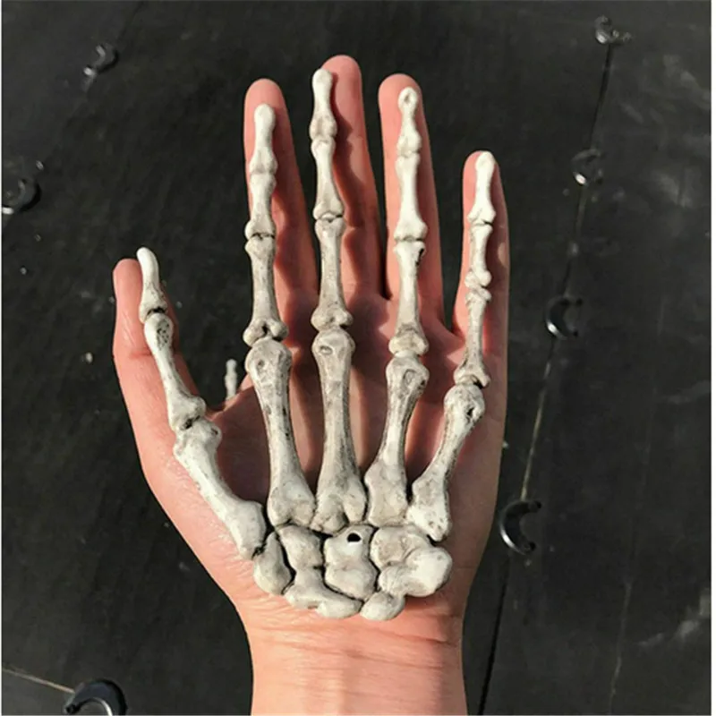 2020 Череп Скелет для рук Хэллоуин Dec модель человеческого анатомического костного