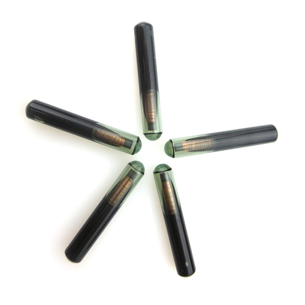 Чипы для автомобильных ключей без рисунка чип 4D60 из стекла ID4D60 транспондера Ford Auto