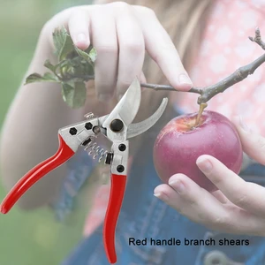 Garden Scissors Fruit Tree Picking Plant Trim Pruning Scissors Gardening Tools Shovel Rake Spade Bonsai Tools Set 10 item image