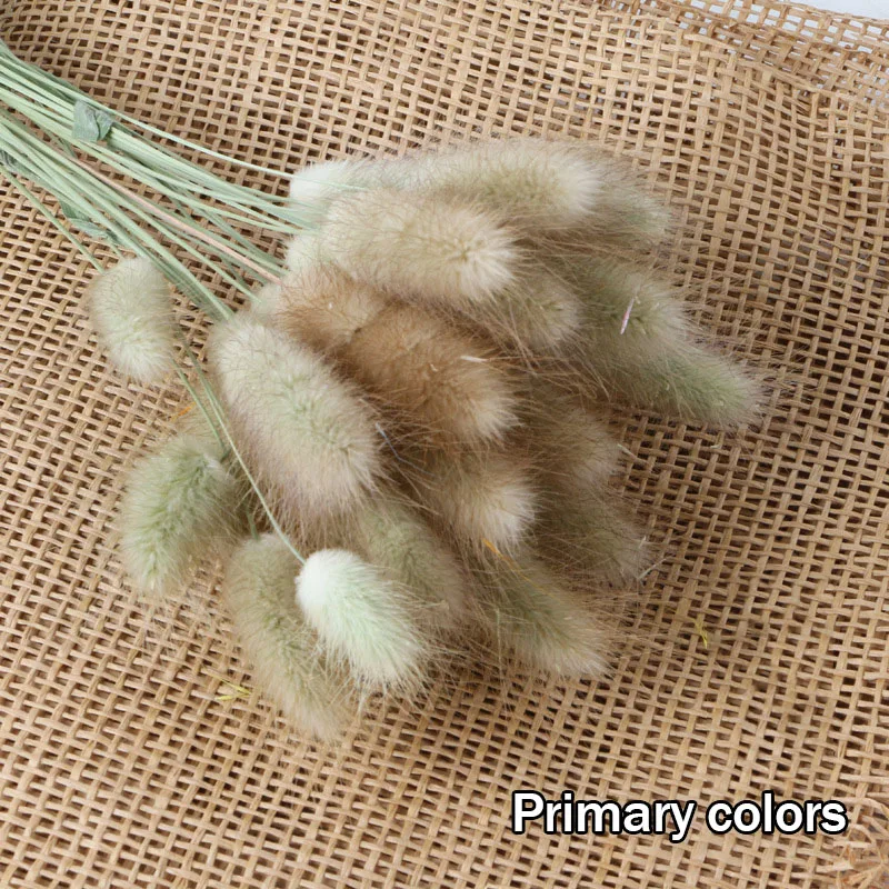 Партия натуральных сушеных цветов зайцехвост трава букет Красочный натуральный