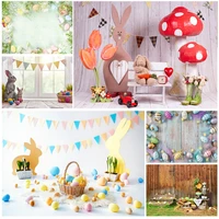 easter eggs rabbit photography backdrops photo studio props spring flowers child baby portrait photo backdrops 21318fh 37